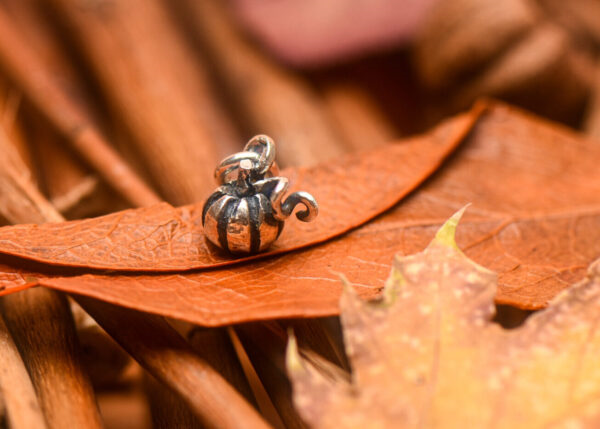 Charm dovleac din argint 925, lucrat manual, fotografiat pe frunze uscate de toamnă – bijuterie inspirată din natură și Halloween.